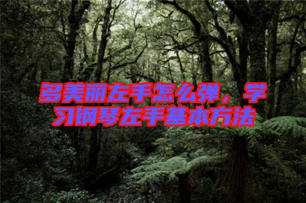 多美麗左手怎么彈,學習鋼琴左手基本方法