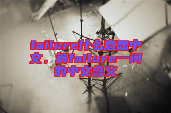 failure什么意思中文,解failure一詞的中文含義