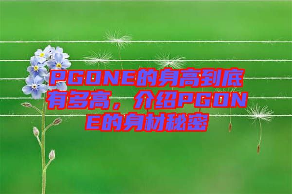 PGONE的身高到底有多高,介紹PGONE的身材秘密