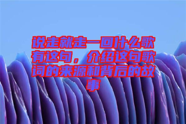 說走就走一回什么歌有這句，介紹這句歌詞的來源和背后的故事