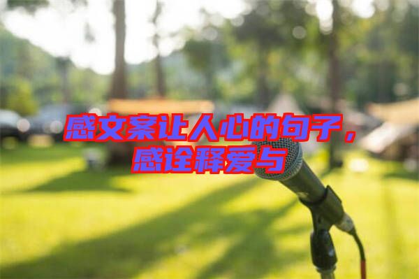 感文案讓人心的句子,感詮釋愛與