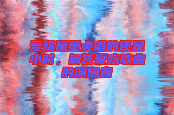 愛殤是董貞唱的還是小時(shí),解答愛殤歌曲的演唱者