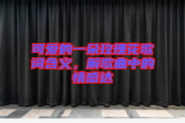 可愛的一朵玫瑰花歌詞含義，解歌曲中的情感達