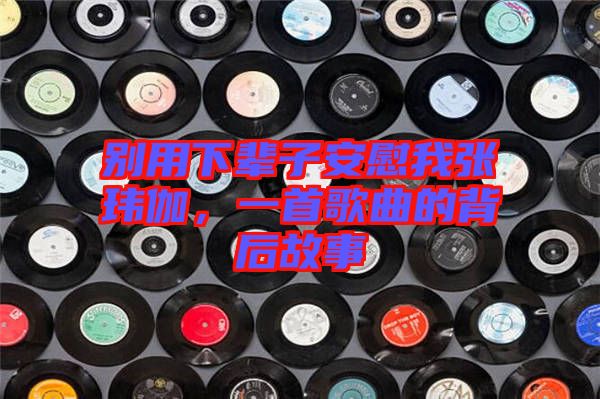 別用下輩子安慰我張瑋伽，一首歌曲的背后故事