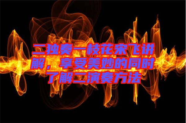 二獨(dú)奏一枝花宋飛講解,享受美妙的同時(shí)了解二演奏方法