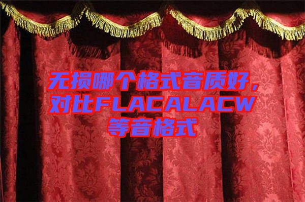 無損哪個格式音質好,對比FLACALACW等音格式