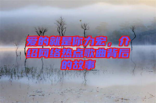 愛的就是你力宏，介紹網(wǎng)絡熱點歌曲背后的故事
