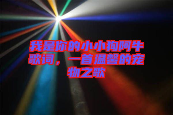 我是你的小小狗阿牛歌詞,一首溫馨的寵物之歌