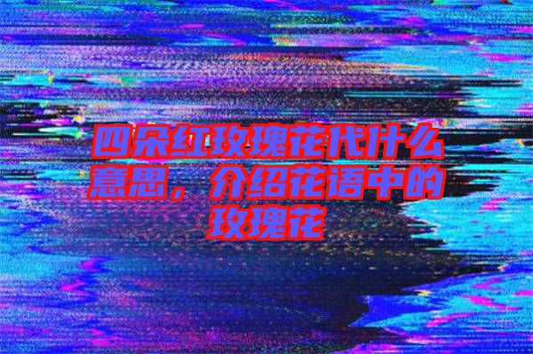 四朵紅玫瑰花代什么意思,介紹花語中的玫瑰花