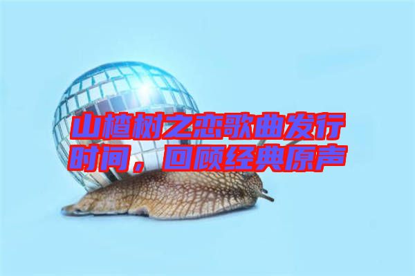 山楂樹之戀歌曲發行時間,回顧經典原聲