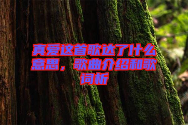 真愛這首歌達了什么意思，歌曲介紹和歌詞析