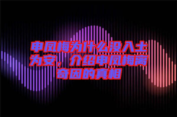 申鳳梅為什么沒(méi)入土為安，介紹申鳳梅離奇因的真相