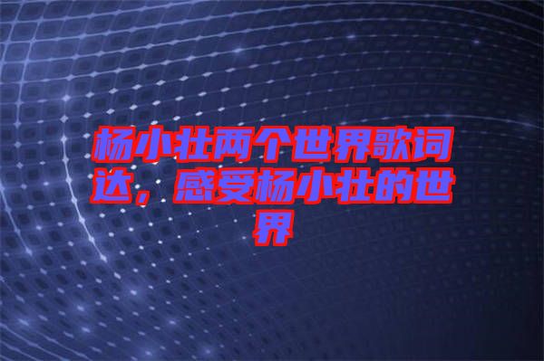 楊小壯兩個世界歌詞達，感受楊小壯的世界