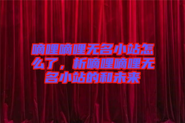嘀哩嘀哩無名小站怎么了，析嘀哩嘀哩無名小站的和未來