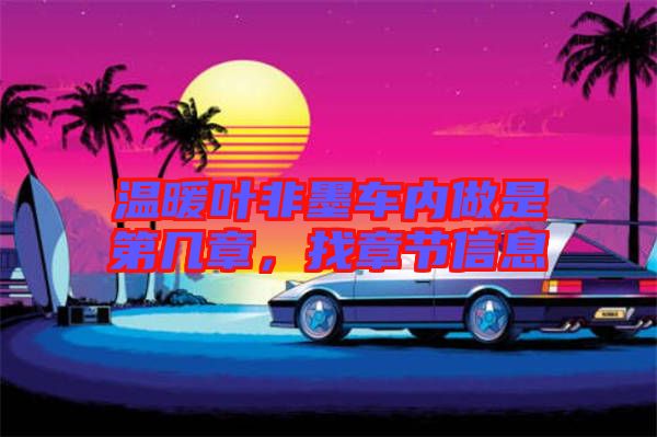 溫暖葉非墨車內(nèi)做是第幾章,找章節(jié)信息