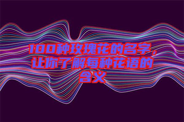 100種玫瑰花的名字，讓你了解每種花語的含義