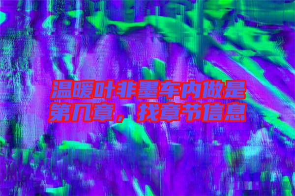 溫暖葉非墨車內做是第幾章,找章節信息