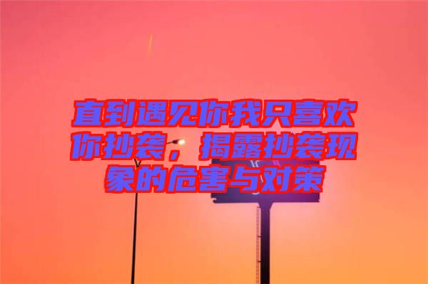 直到遇見你我只喜歡你抄襲,揭露抄襲現(xiàn)象的危害與對策