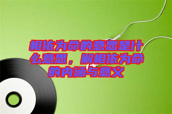 相依為命的意思是什么意思,解相依為命的內涵與意義