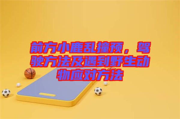 前方小鹿亂撞預,駕駛方法及遇到野生動物應對方法