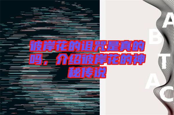 彼岸花的詛咒是真的嗎,介紹彼岸花的神秘傳說