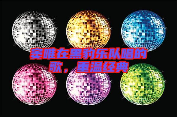 竇唯在黑豹樂隊唱的歌,重溫經(jīng)典