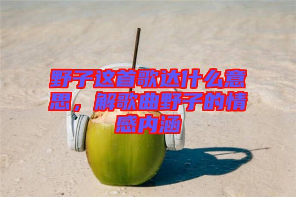 野子這首歌達什么意思,解歌曲野子的情感內涵