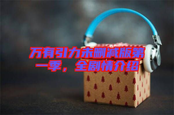 萬(wàn)有引力未刪減版第一季,全劇情介紹