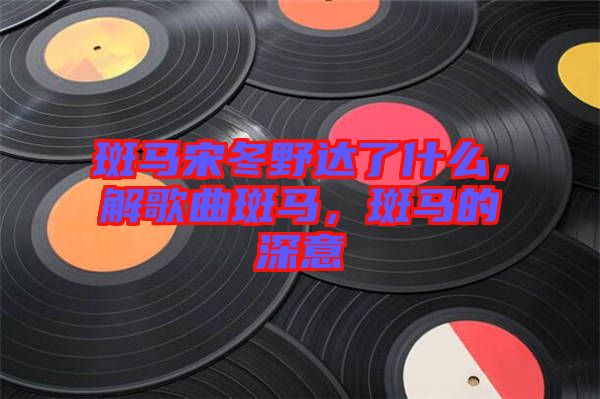 斑馬宋冬野達了什么,解歌曲斑馬,斑馬的深意
