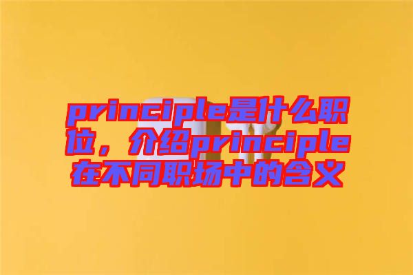 principle是什么職位，介紹principle在不同職場中的含義