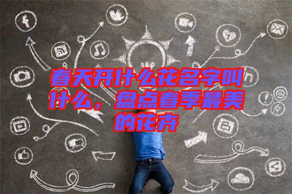 春天開什么花名字叫什么,盤點春季最美的花卉