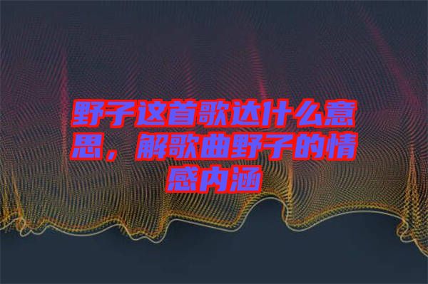 野子這首歌達什么意思，解歌曲野子的情感內涵