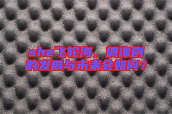 she飛輪海,偶像劇的發展與未來會如何?