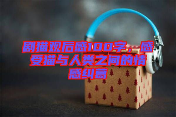 劇貓觀后感100字,感受貓與人類(lèi)之間的情感糾葛