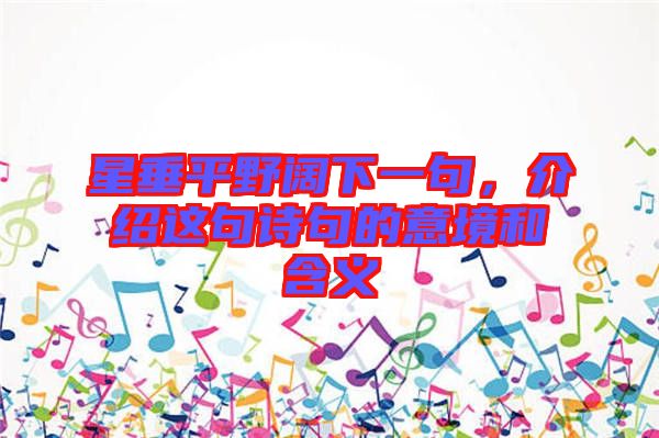 星垂平野闊下一句,介紹這句詩句的意境和含義