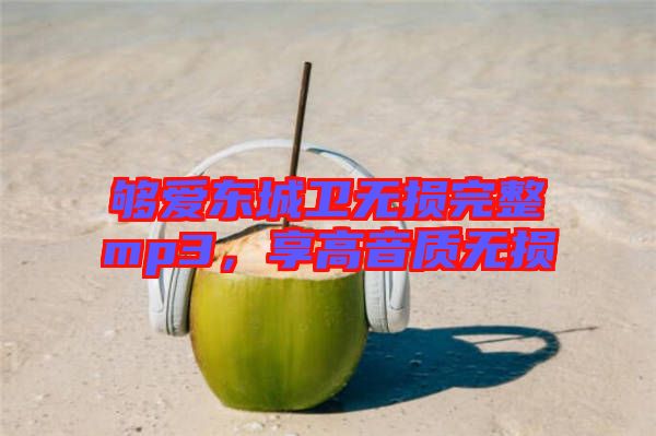 夠愛東城衛無損完整mp3，享高音質無損