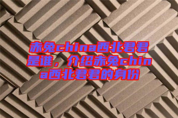 赤兔china西北君君是誰，介紹赤兔china西北君君的身份