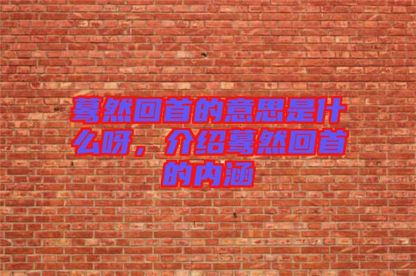 驀然回首的意思是什么呀,介紹驀然回首的內涵