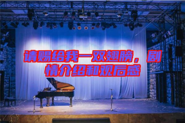 請(qǐng)賜給我一雙翅膀,劇情介紹和觀后感