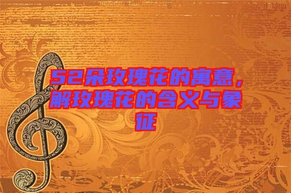 52朵玫瑰花的寓意,解玫瑰花的含義與象征