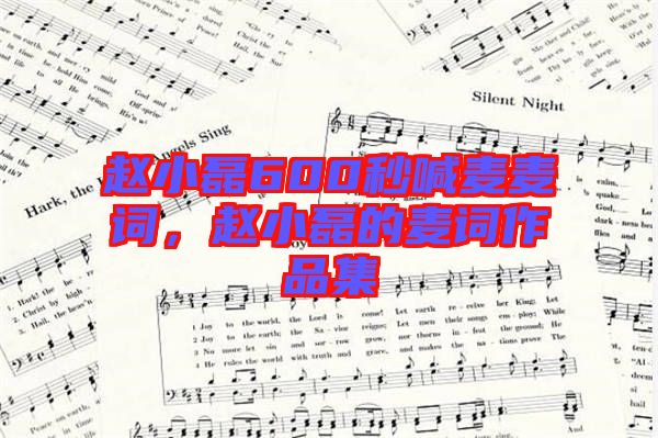 趙小磊600秒喊麥麥詞，趙小磊的麥詞作品集