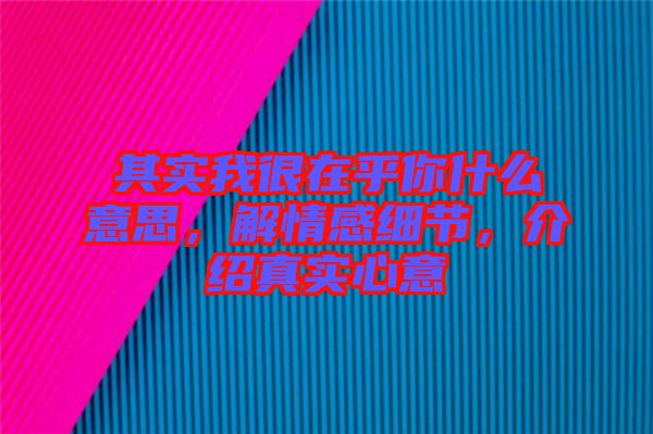 其實我很在乎你什么意思,解情感細節(jié),介紹真實心意