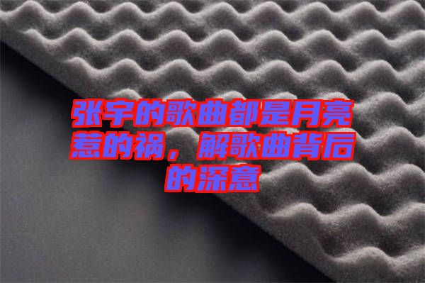張宇的歌曲都是月亮惹的禍,解歌曲背后的深意