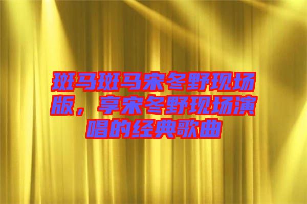 斑馬斑馬宋冬野現場版，享宋冬野現場演唱的經典歌曲