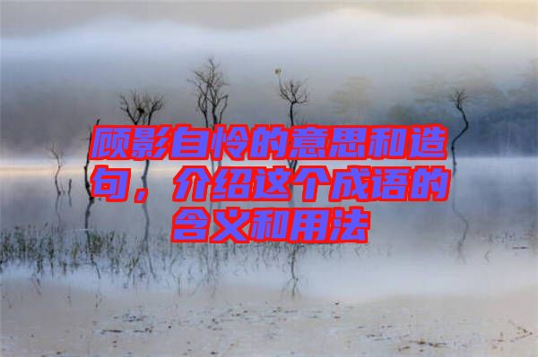 顧影自憐的意思和造句,介紹這個(gè)成語的含義和用法