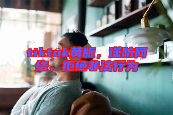 tiktok黃版，謹防網(wǎng)絡，拒絕非法行為