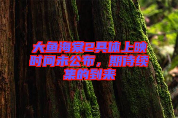 大魚海棠2具體上映時(shí)間未公布，期待續(xù)集的到來