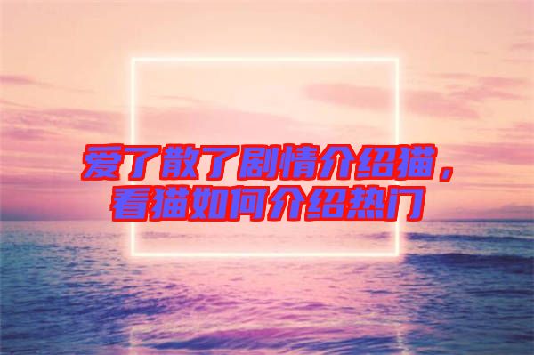 愛了散了劇情介紹貓,看貓如何介紹熱門