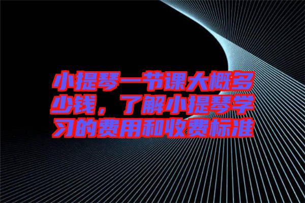 小提琴一節課大概多少錢，了解小提琴學習的費用和收費標準