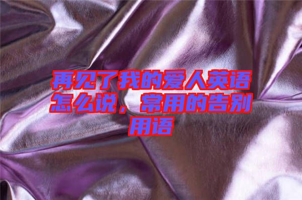 再見了我的愛人英語怎么說,常用的告別用語